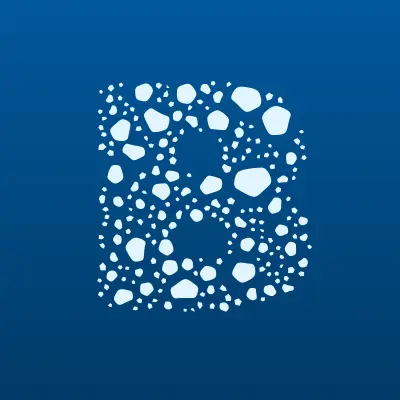 БиТ, некоммерческое партнерство станций диагностики, лого-визитка